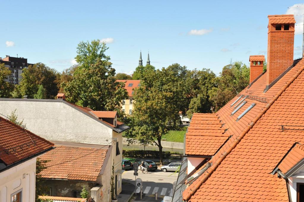 Spacious 2-Bedroom Apartment Zabjak With Ac Tour As Ljubljana Eksteriør billede