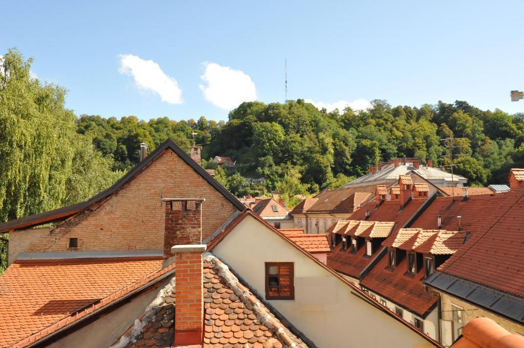Spacious 2-Bedroom Apartment Zabjak With Ac Tour As Ljubljana Eksteriør billede