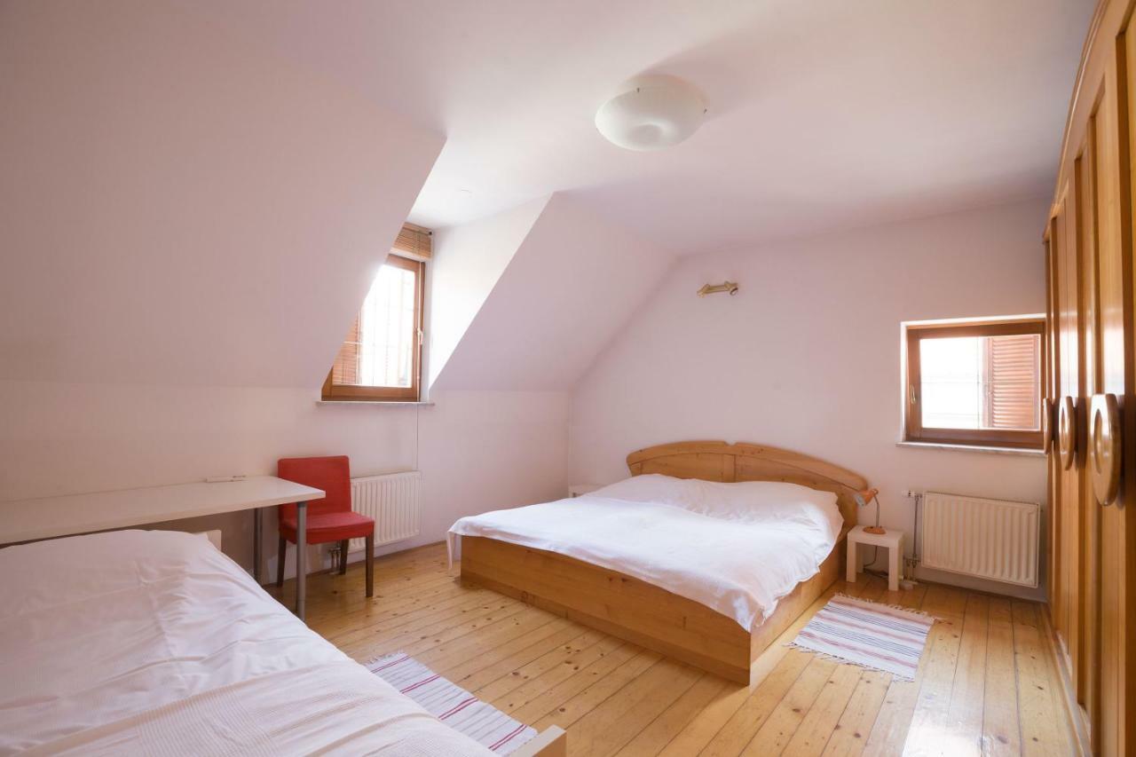 Spacious 2-Bedroom Apartment Zabjak With Ac Tour As Ljubljana Eksteriør billede
