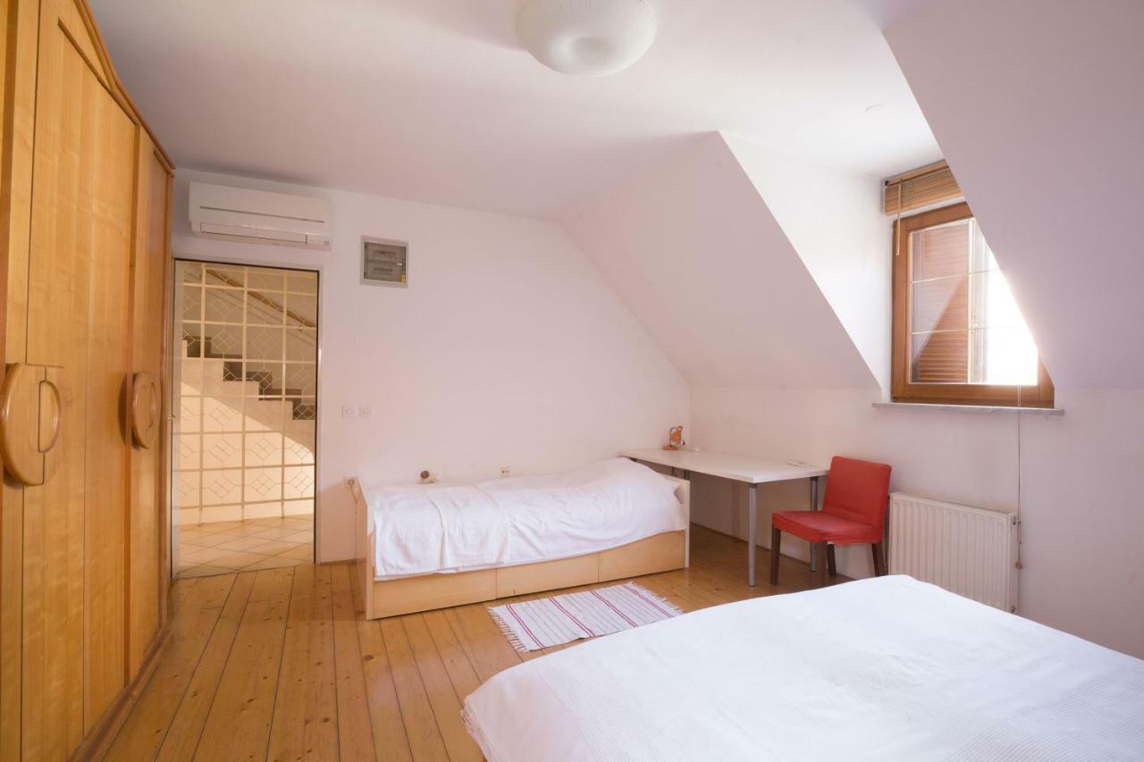 Spacious 2-Bedroom Apartment Zabjak With Ac Tour As Ljubljana Eksteriør billede